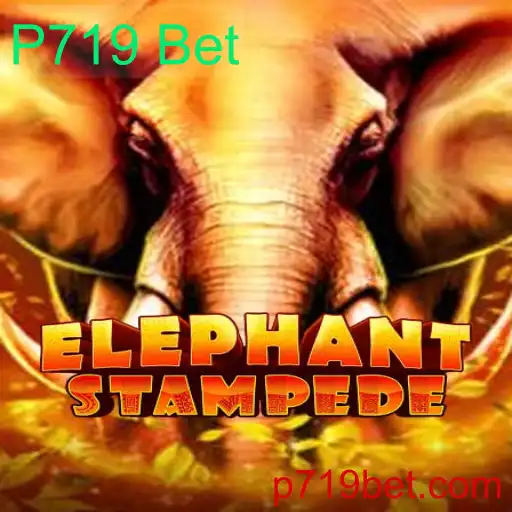 Desvendando ElephantStampede e P719 Bet: O Que Você Precisa Saber